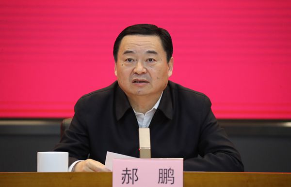 郝鵬、國資、央企、國資委、書記、主任、國企、企業改革