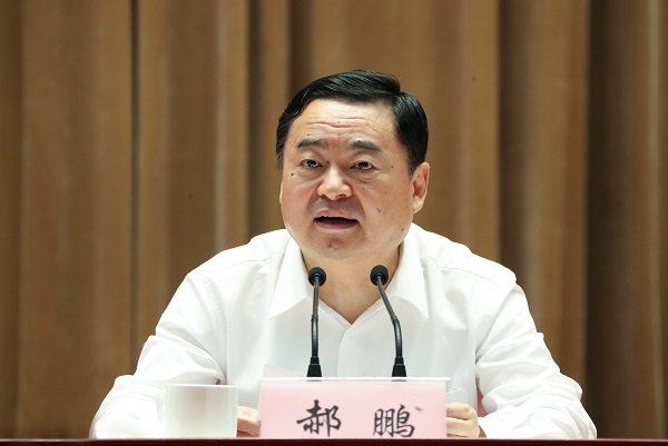 郝鵬、國資、央企、國資委、書記、主任、國企、企業改革